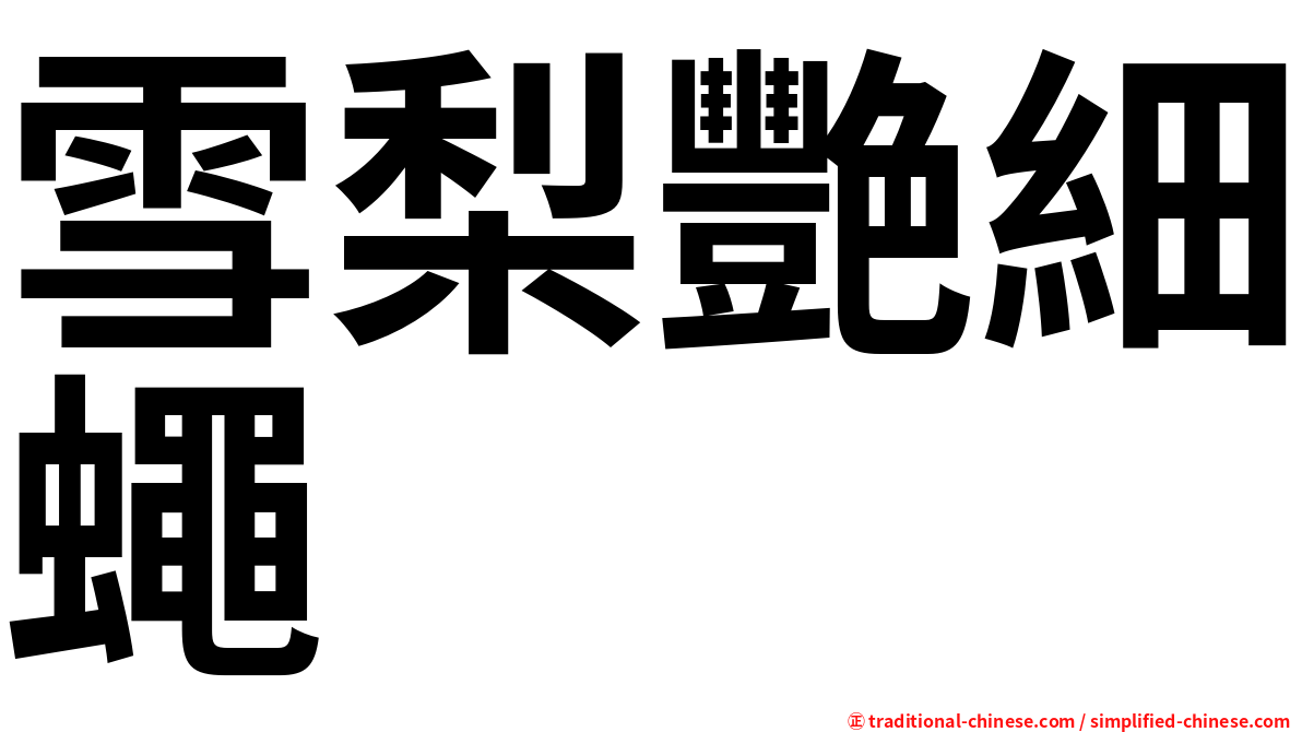 雪梨艷細蠅