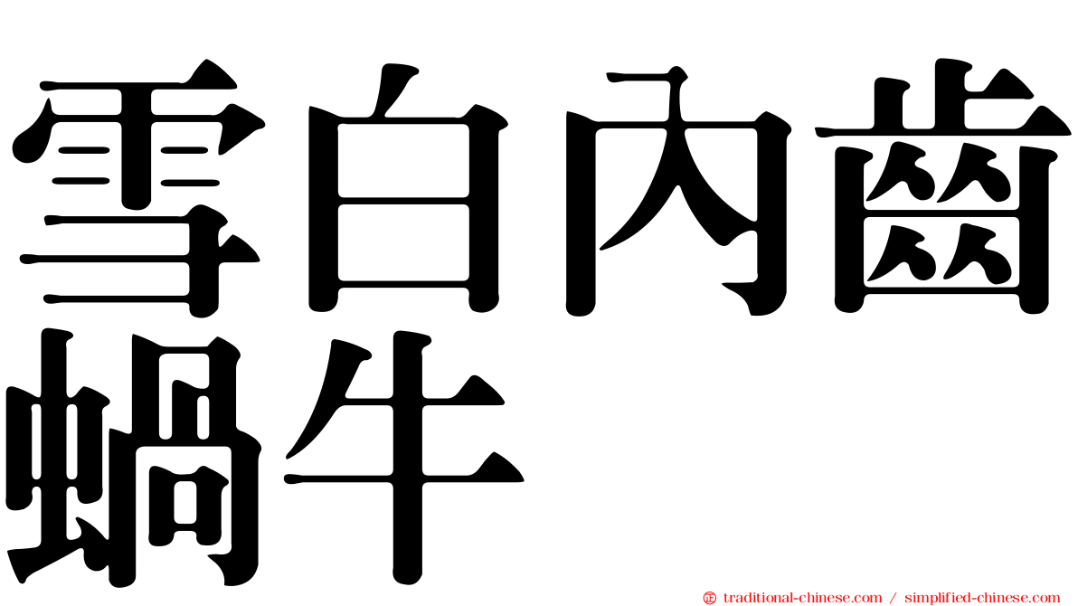 雪白內齒蝸牛