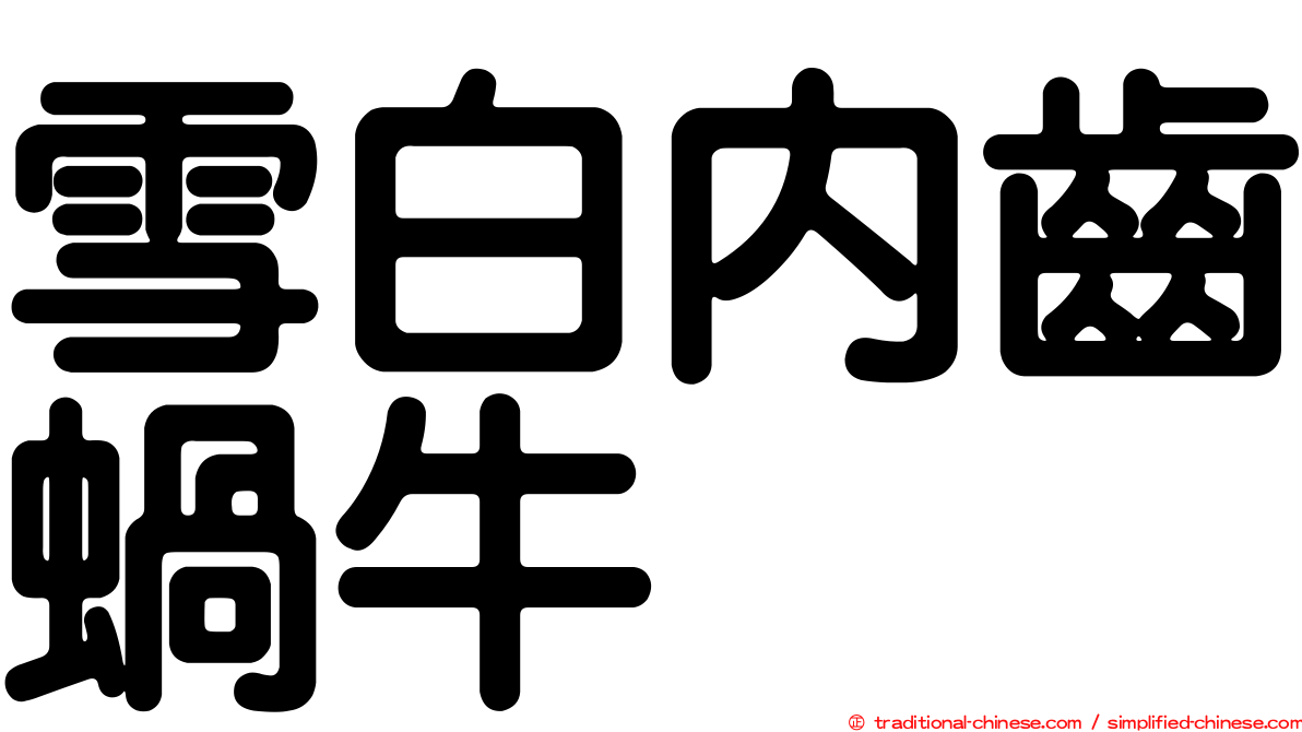 雪白內齒蝸牛