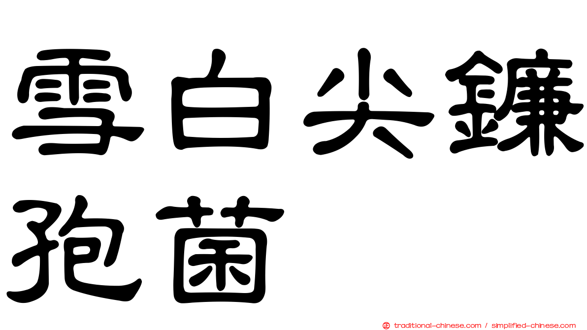 雪白尖鐮孢菌