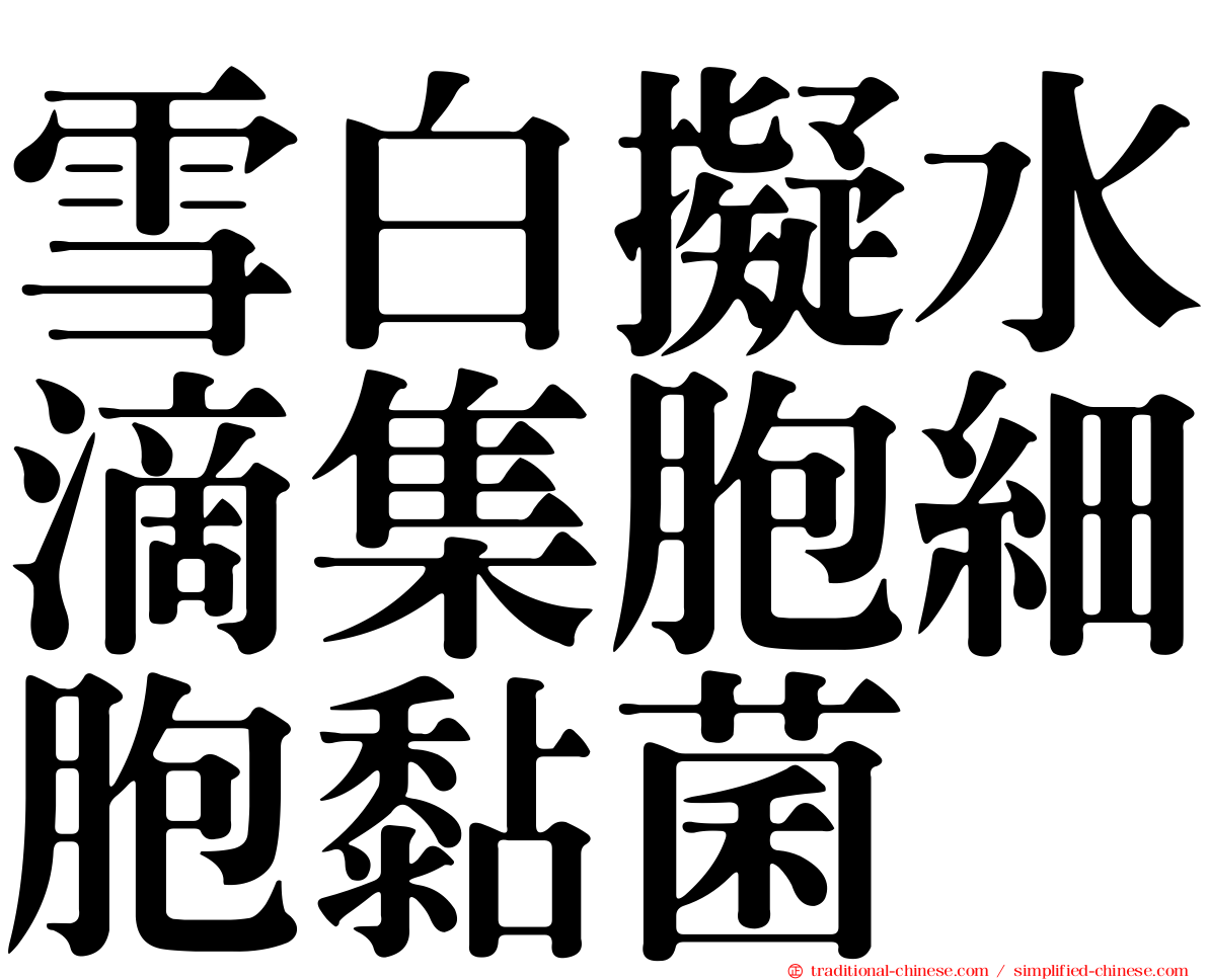雪白擬水滴集胞細胞黏菌