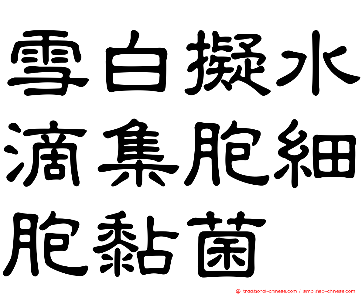 雪白擬水滴集胞細胞黏菌