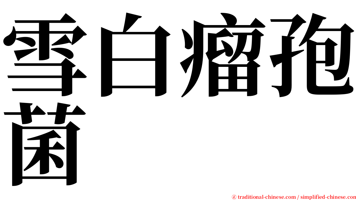 雪白瘤孢菌 serif font