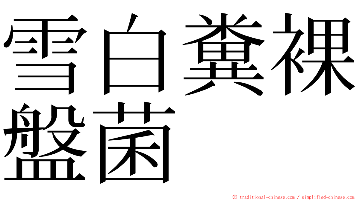 雪白糞裸盤菌 ming font