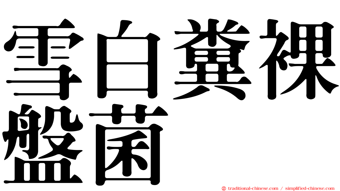 雪白糞裸盤菌