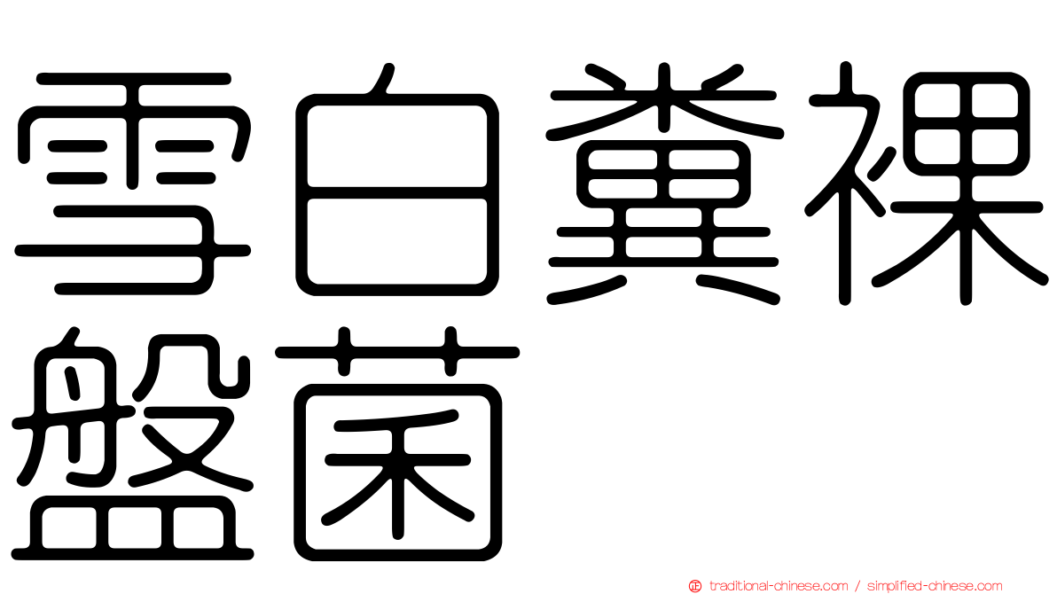 雪白糞裸盤菌