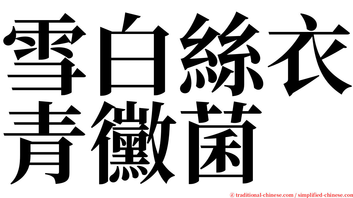 雪白絲衣青黴菌 serif font