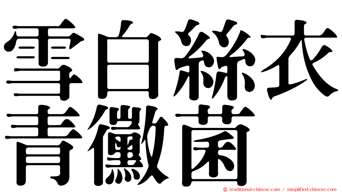 雪白絲衣青黴菌
