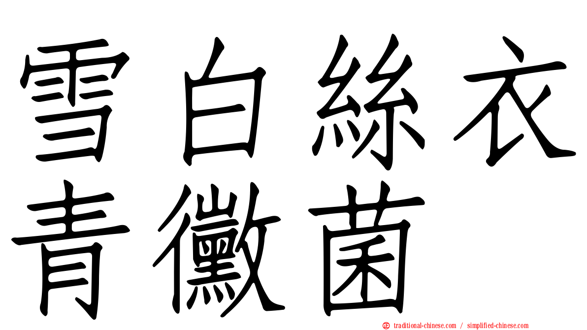 雪白絲衣青黴菌