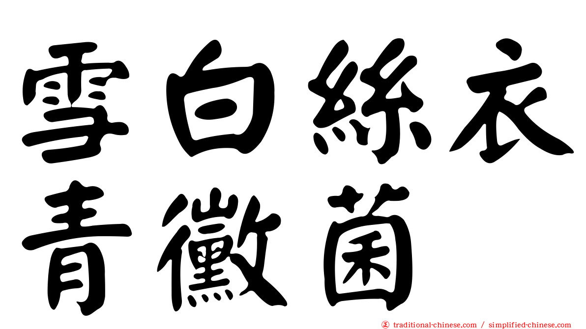 雪白絲衣青黴菌