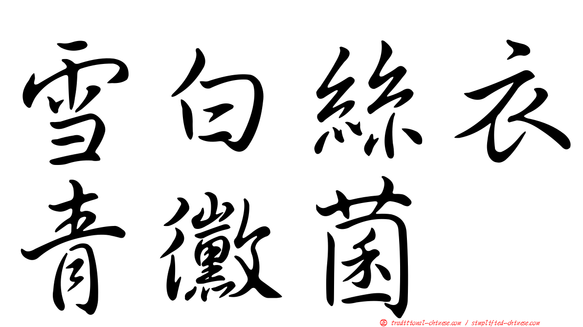 雪白絲衣青黴菌