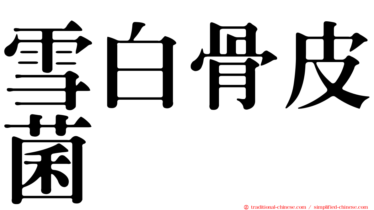 雪白骨皮菌