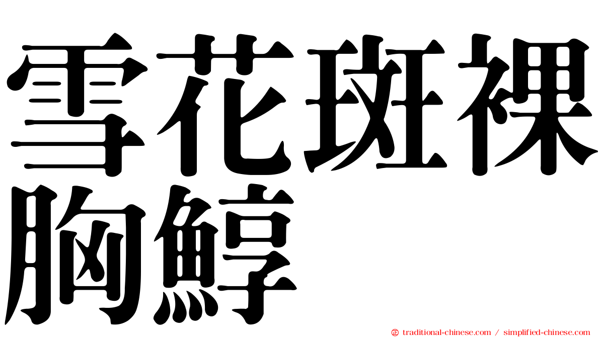雪花斑裸胸鯙