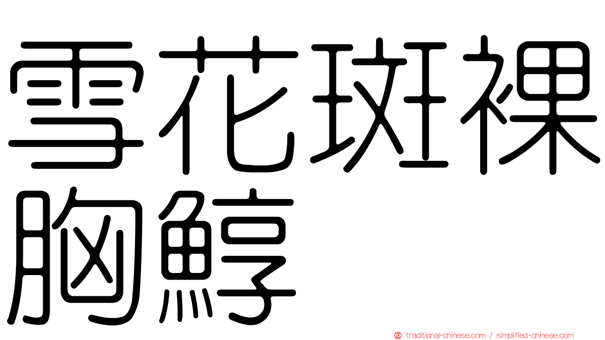 雪花斑裸胸鯙