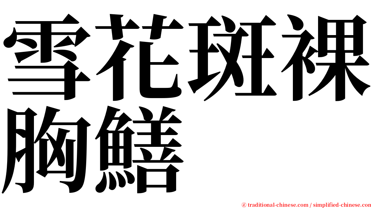雪花斑裸胸鱔 serif font
