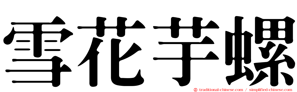 雪花芋螺