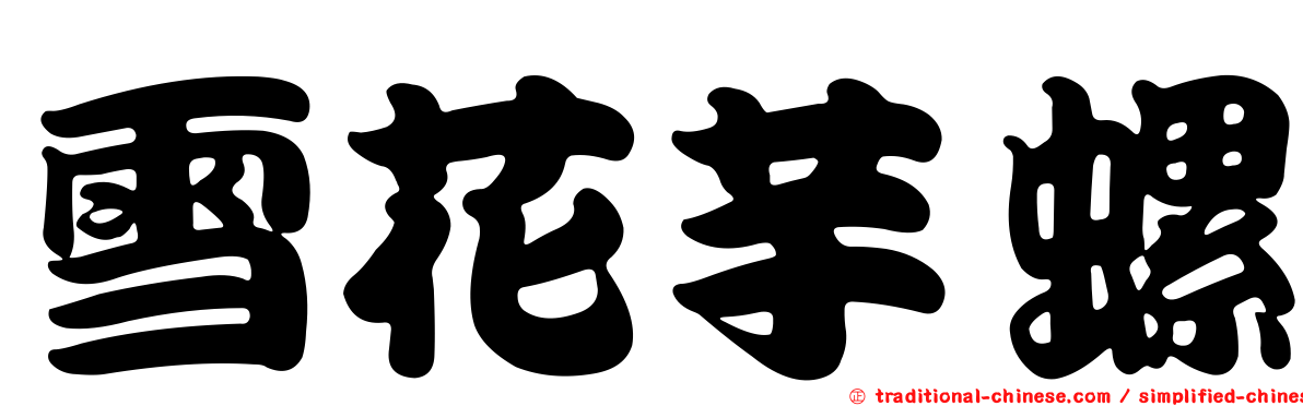 雪花芋螺