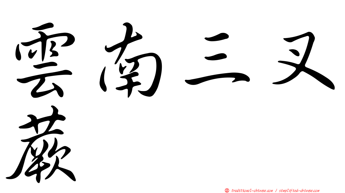 雲南三叉蕨