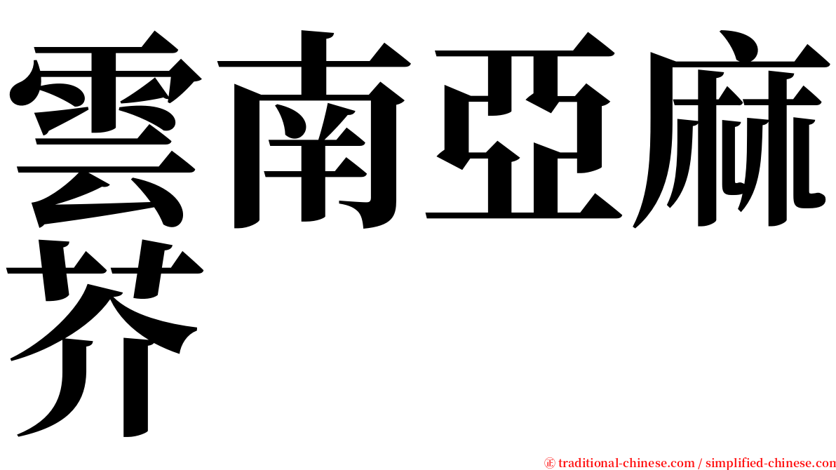 雲南亞麻芥 serif font