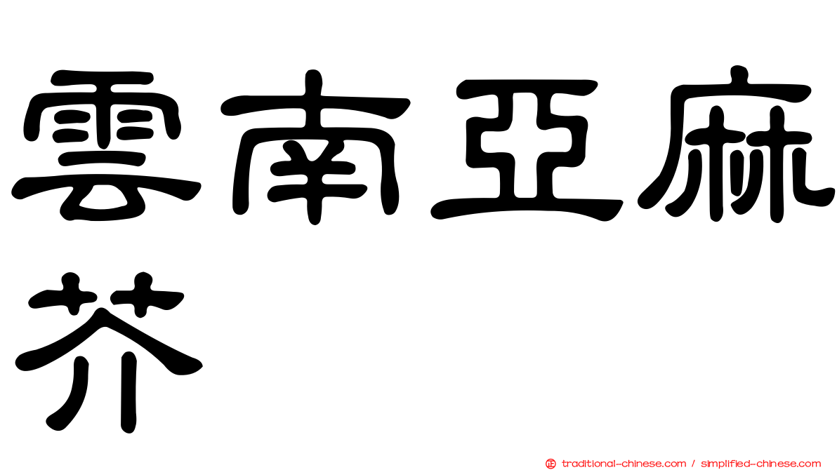 雲南亞麻芥