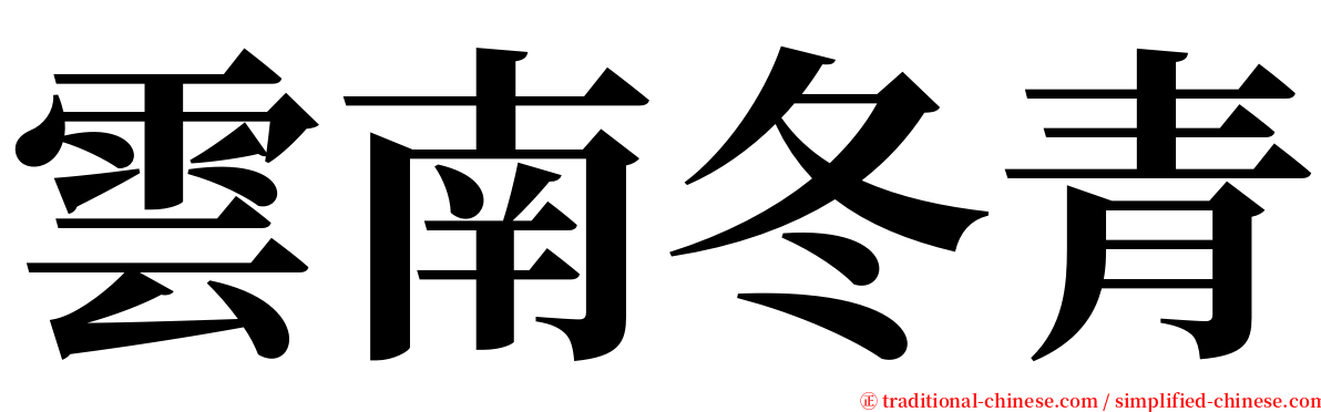 雲南冬青 serif font