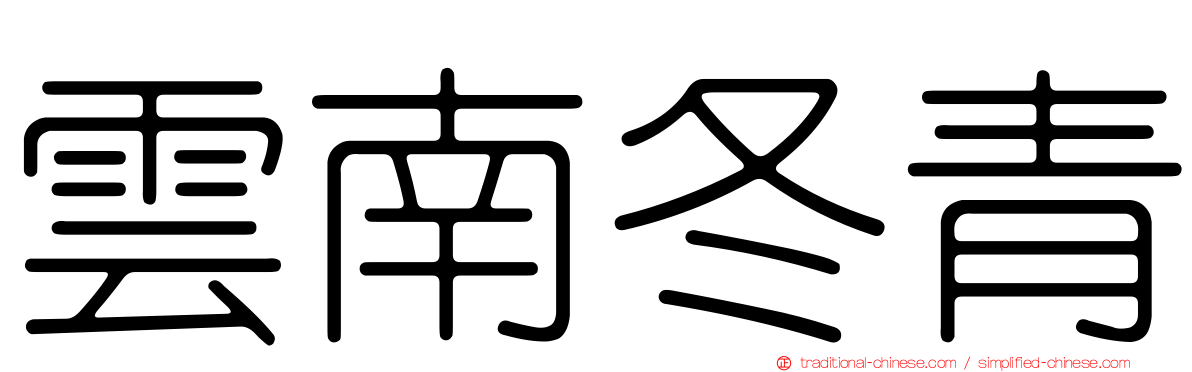 雲南冬青