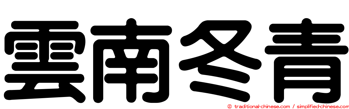 雲南冬青