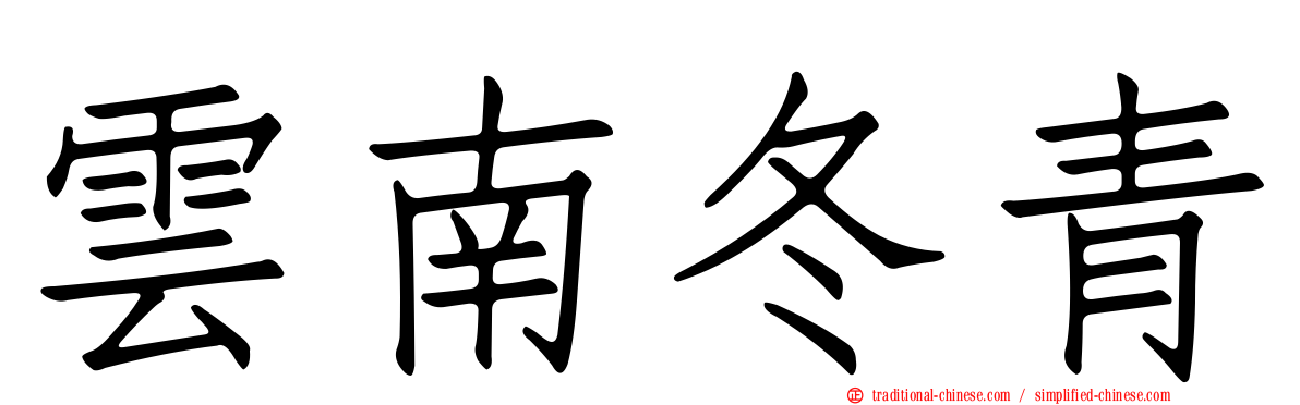 雲南冬青