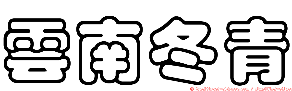 雲南冬青