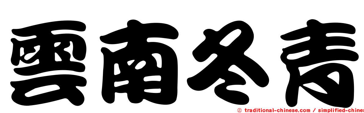 雲南冬青