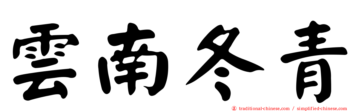 雲南冬青