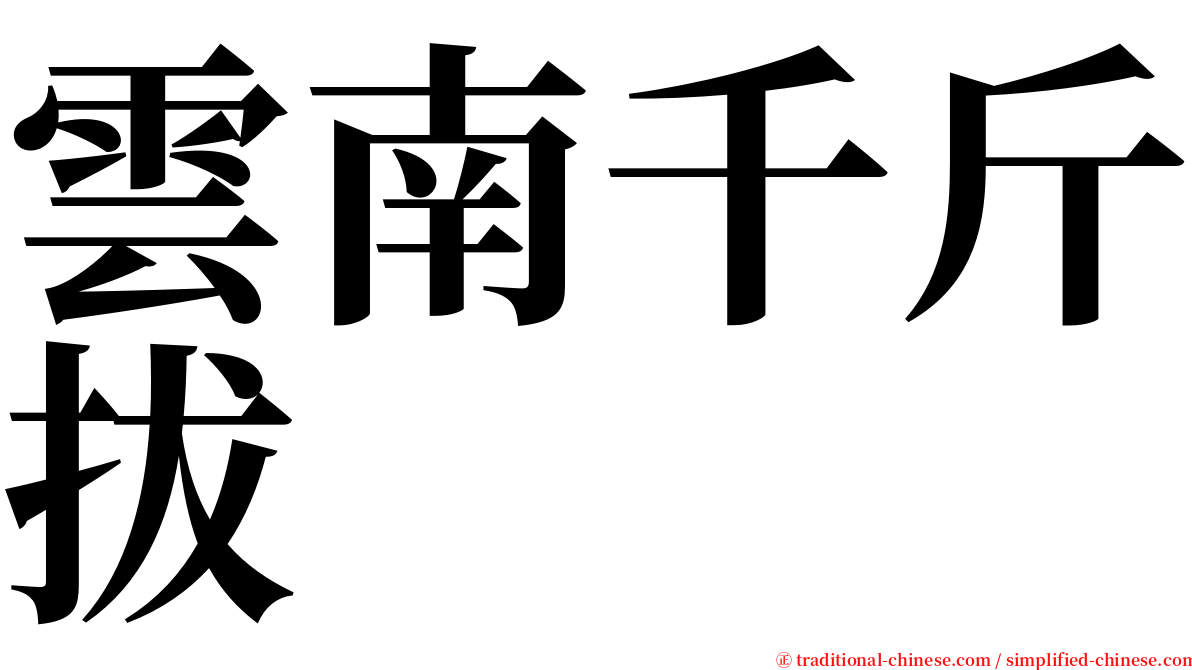 雲南千斤拔 serif font