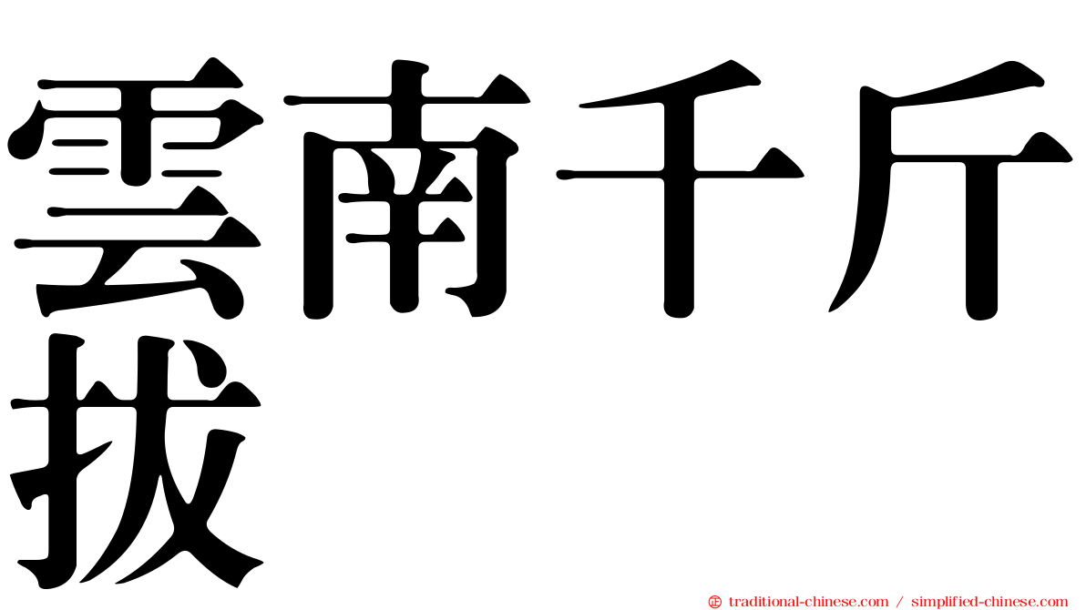 雲南千斤拔