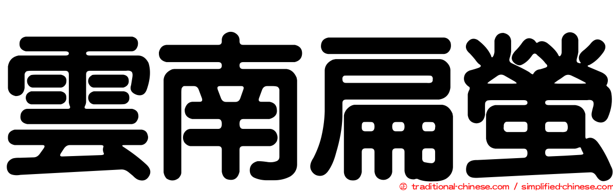 雲南扁螢