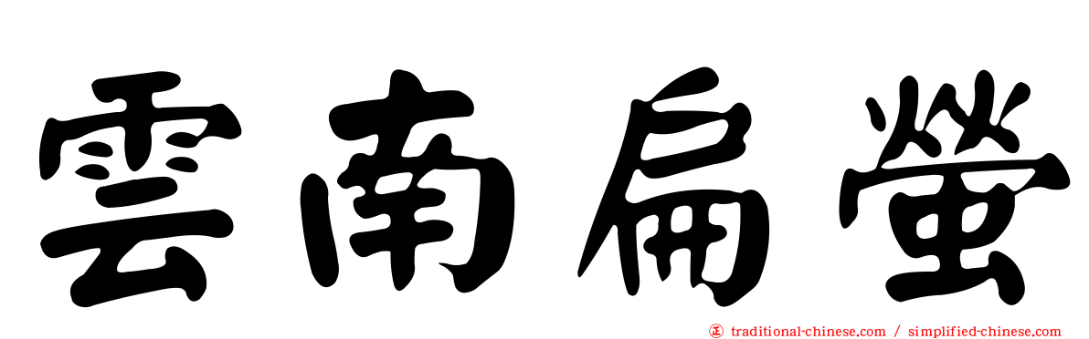 雲南扁螢