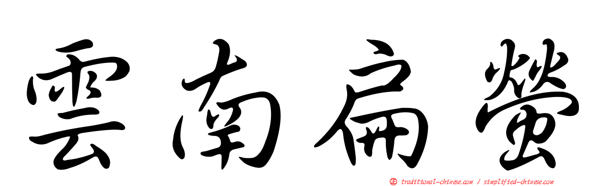 雲南扁螢