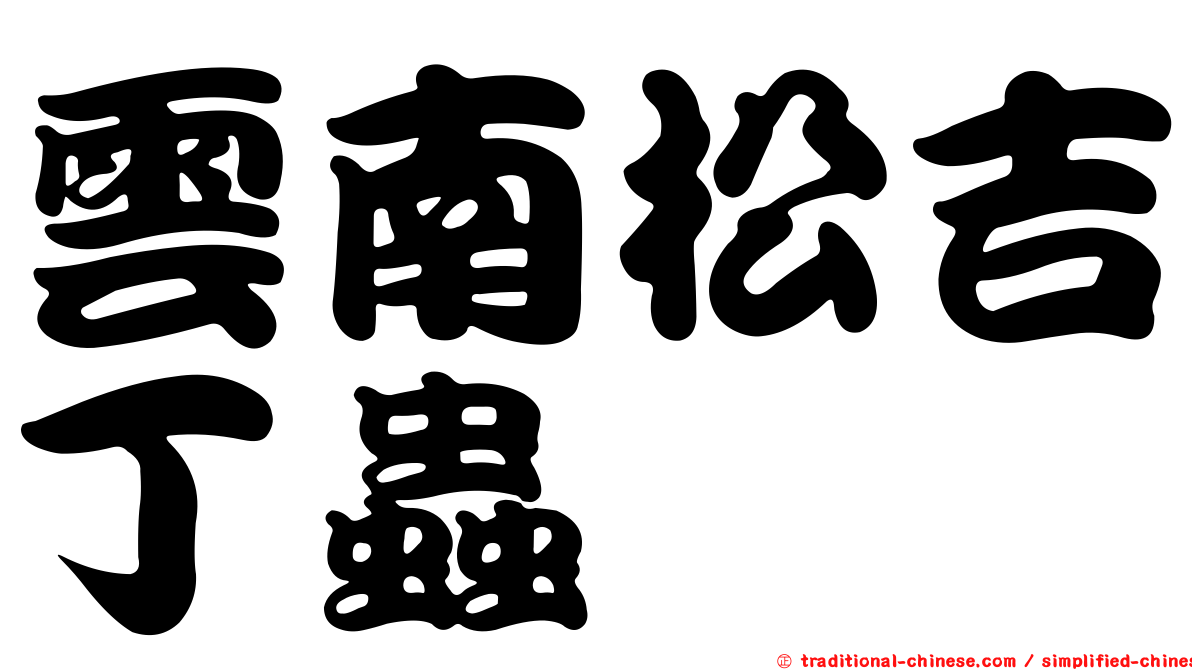 雲南松吉丁蟲