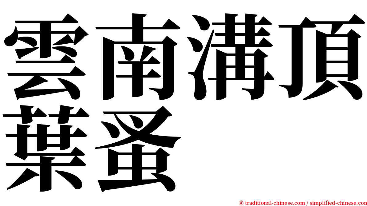 雲南溝頂葉蚤 serif font