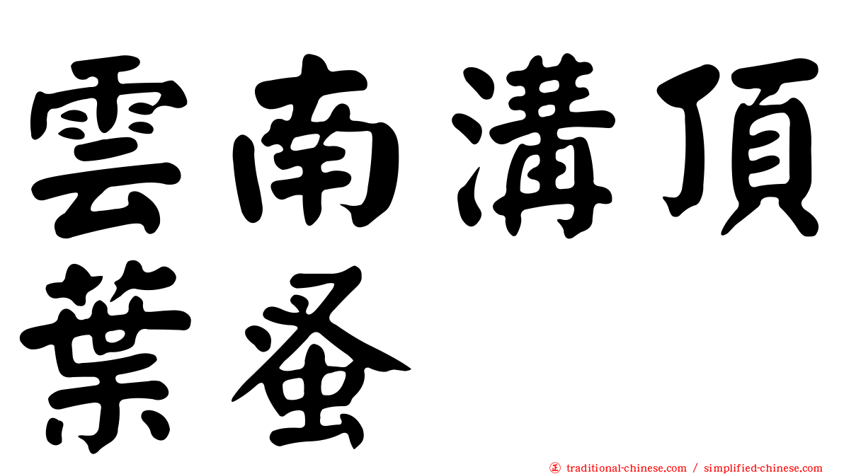 雲南溝頂葉蚤