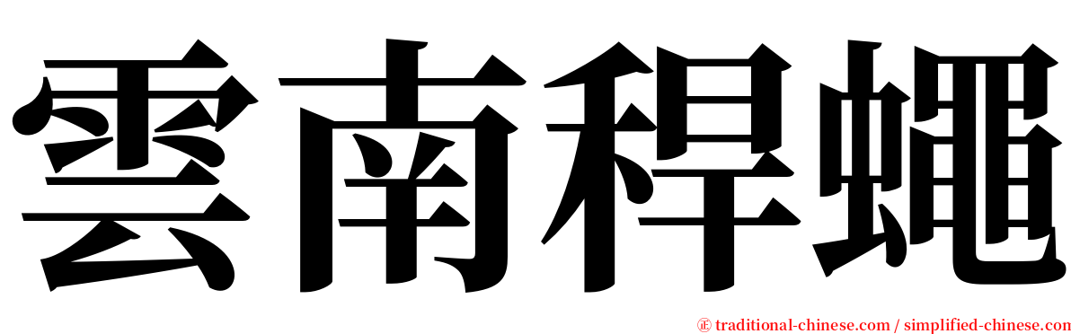 雲南稈蠅 serif font