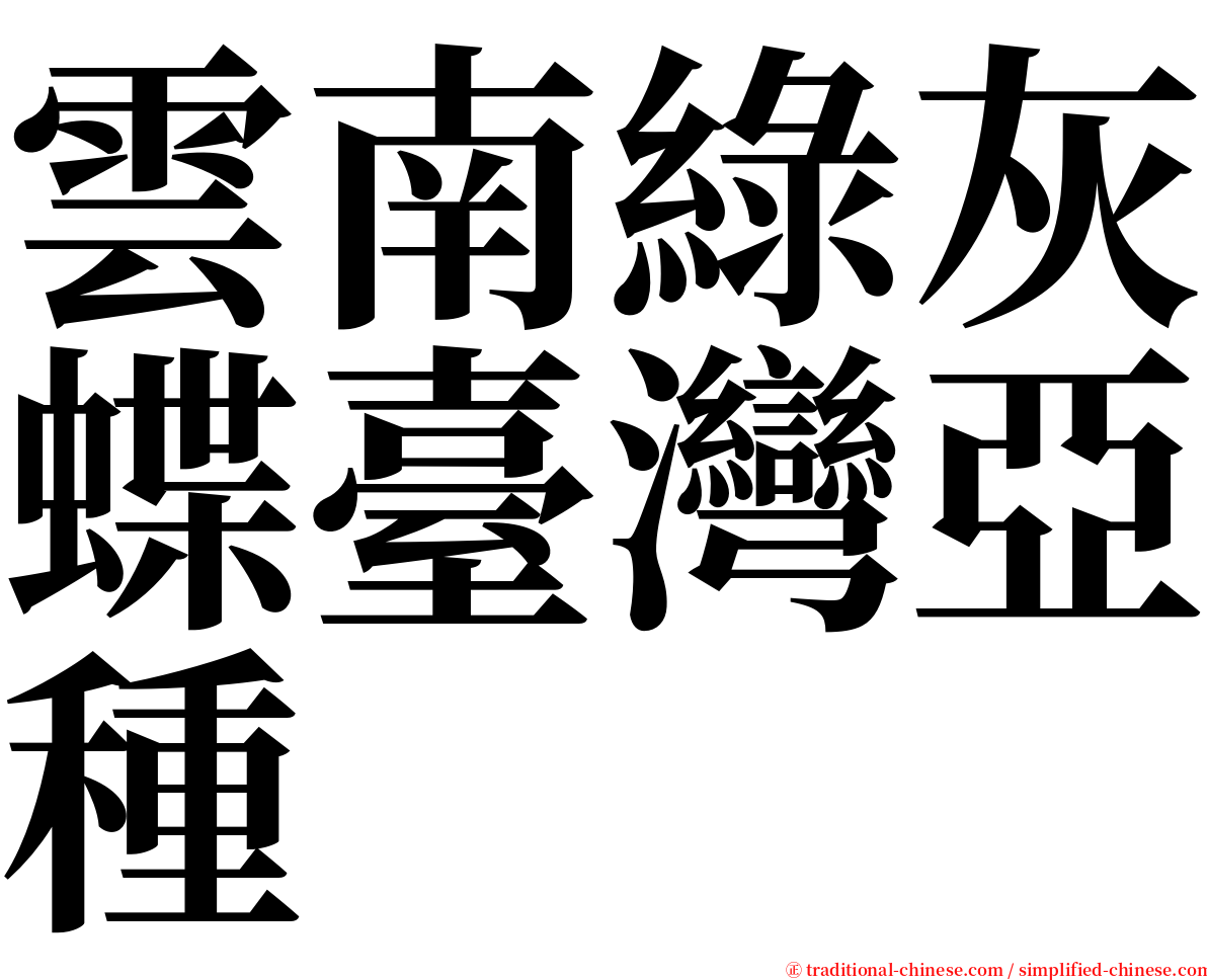 雲南綠灰蝶臺灣亞種 serif font