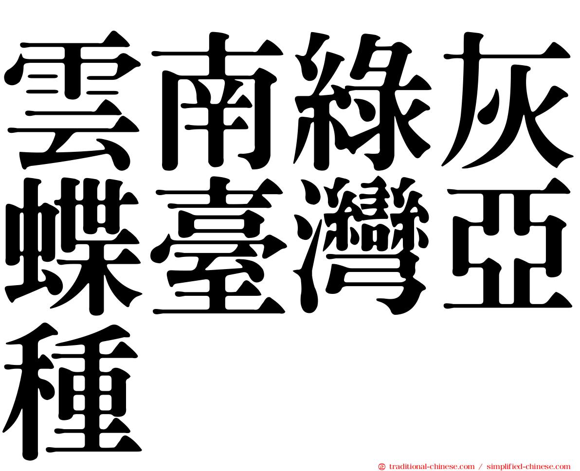 雲南綠灰蝶臺灣亞種