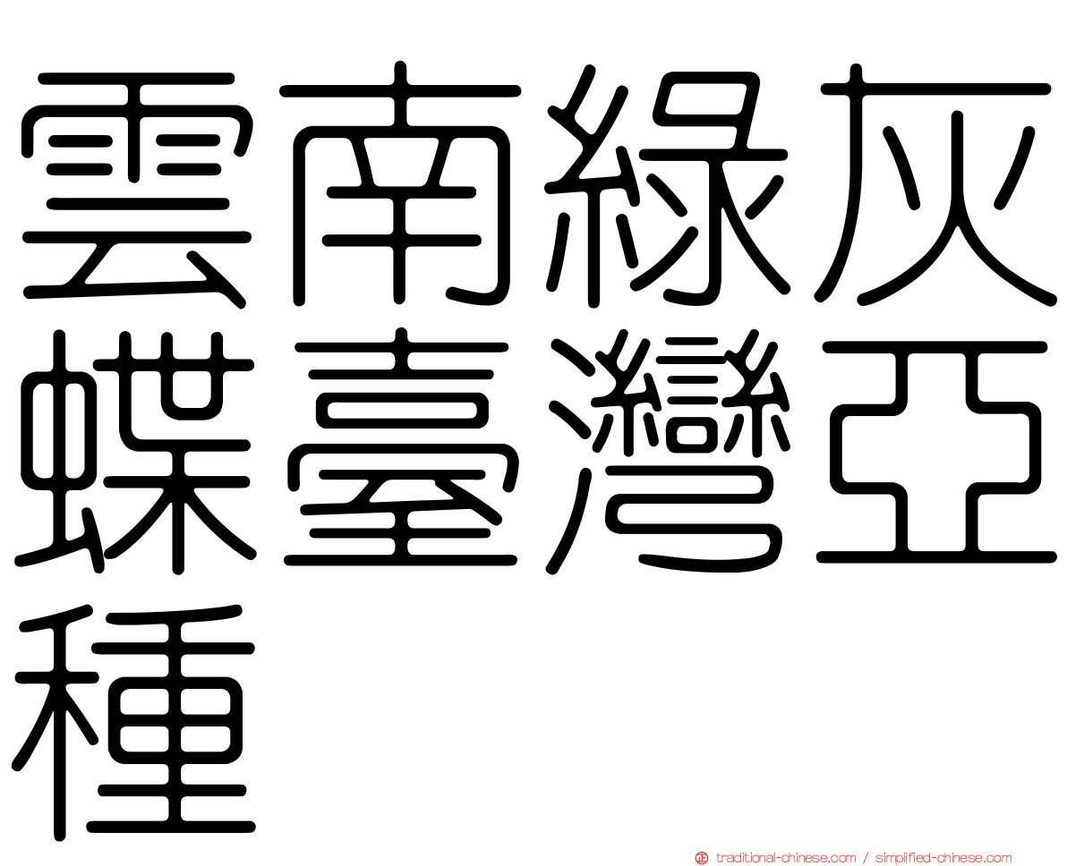 雲南綠灰蝶臺灣亞種