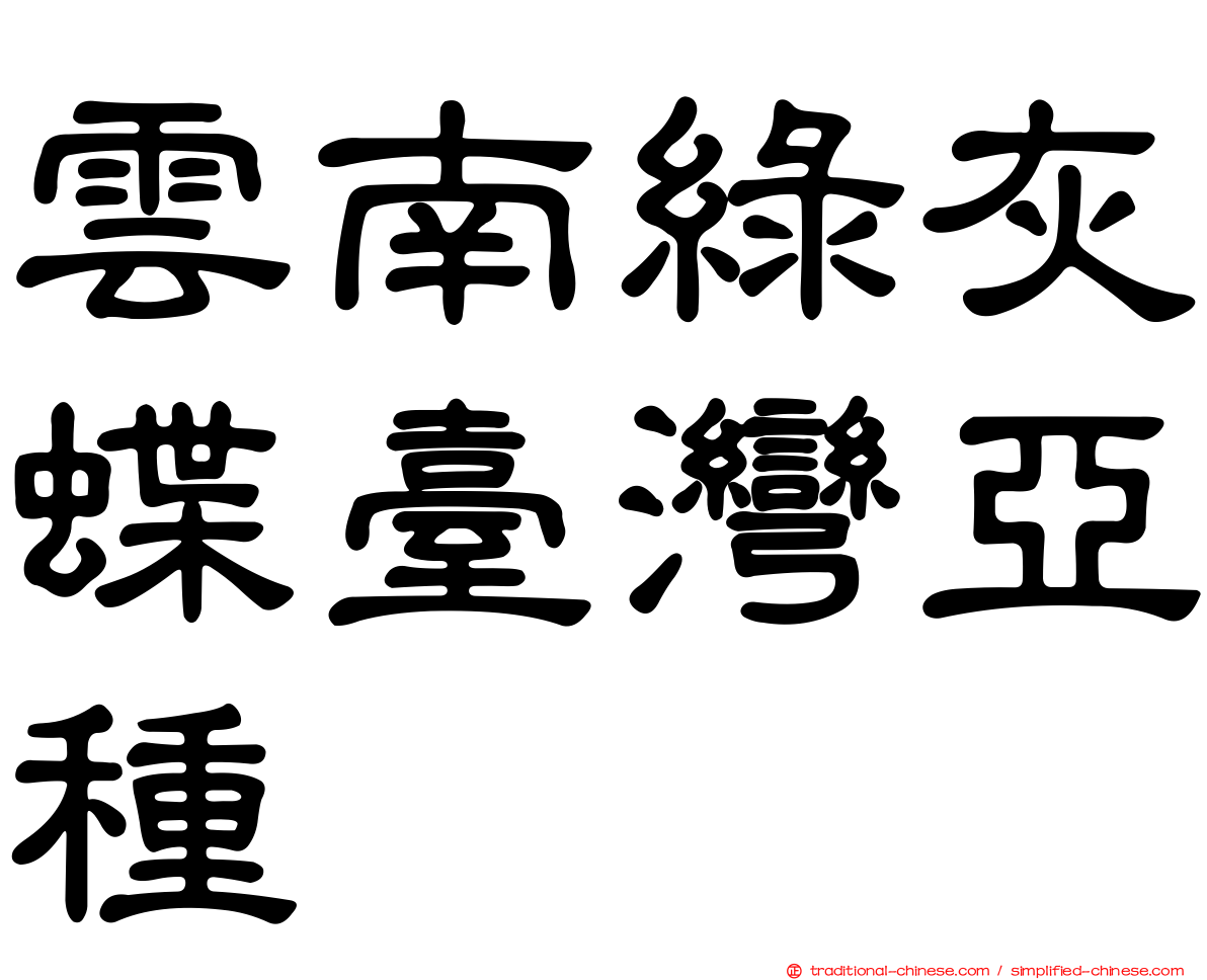 雲南綠灰蝶臺灣亞種