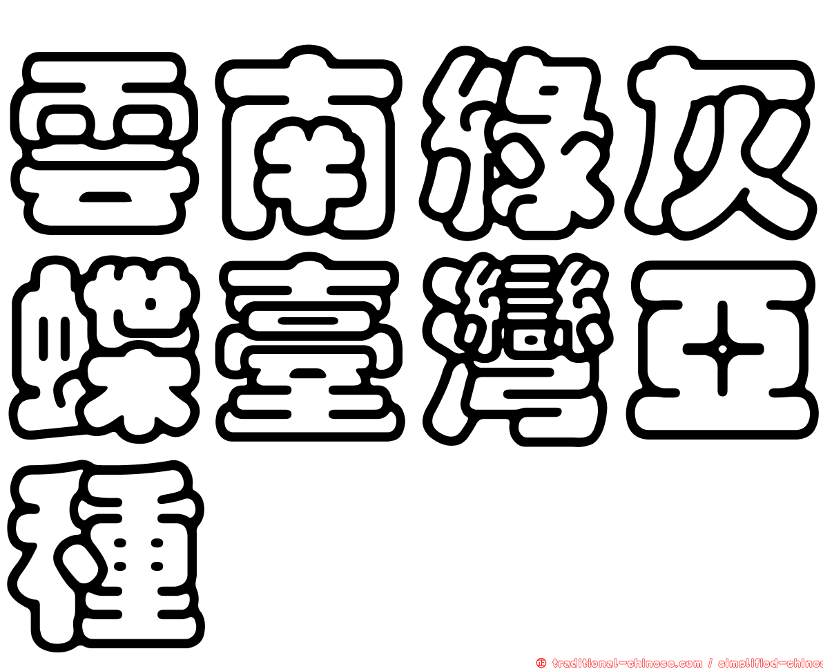 雲南綠灰蝶臺灣亞種