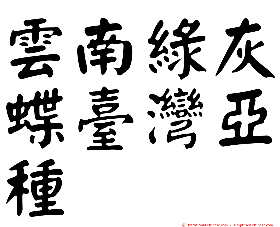 雲南綠灰蝶臺灣亞種