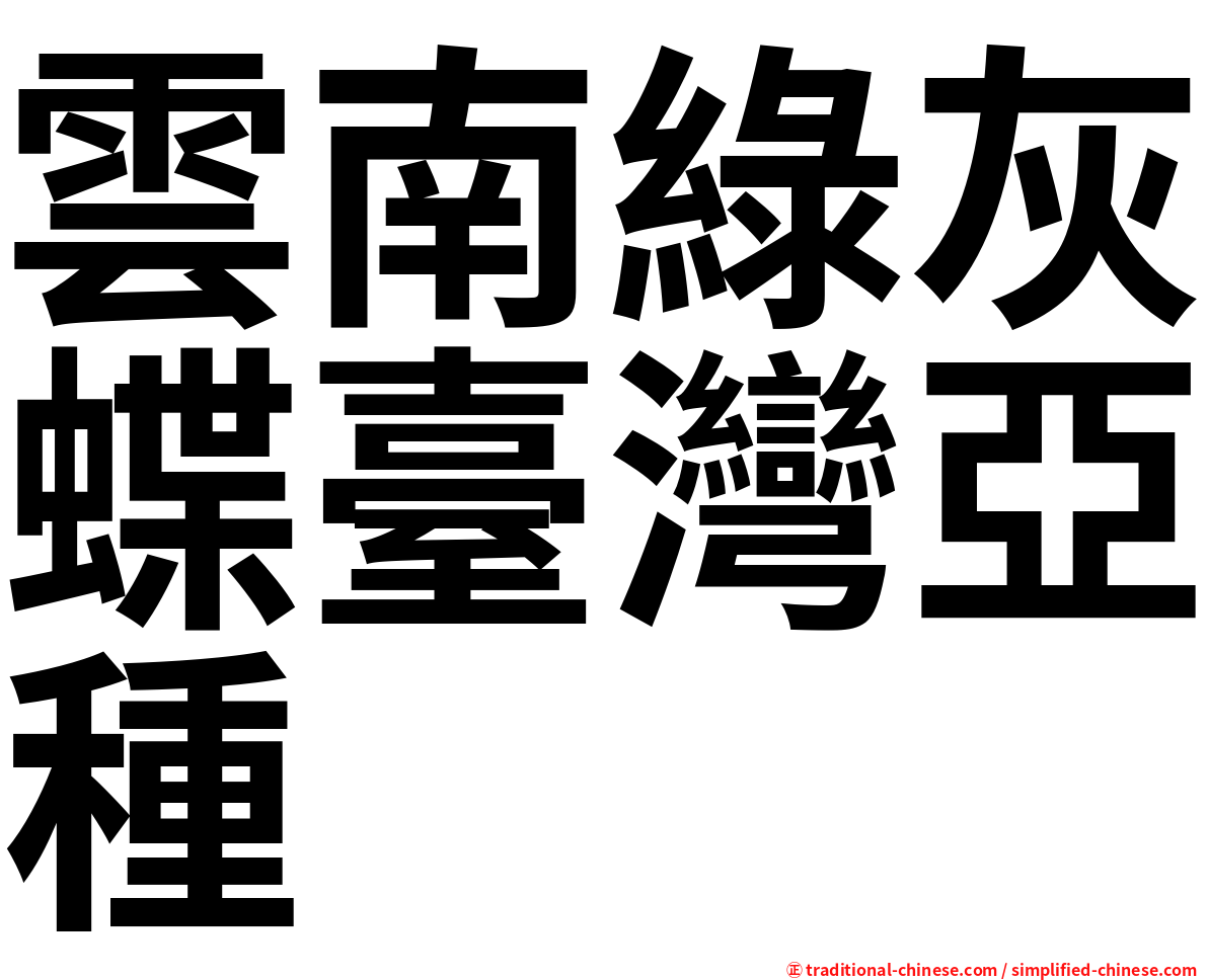 雲南綠灰蝶臺灣亞種