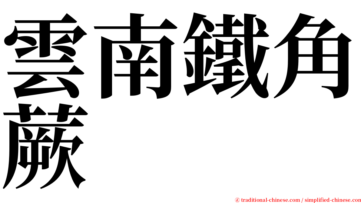 雲南鐵角蕨 serif font