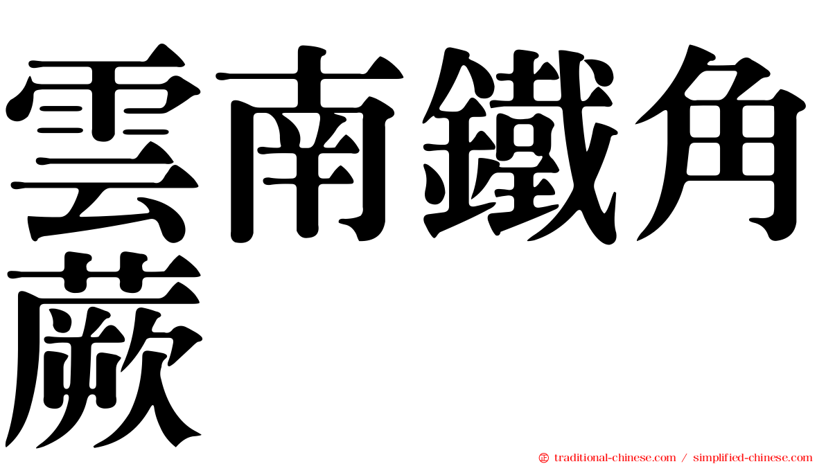 雲南鐵角蕨