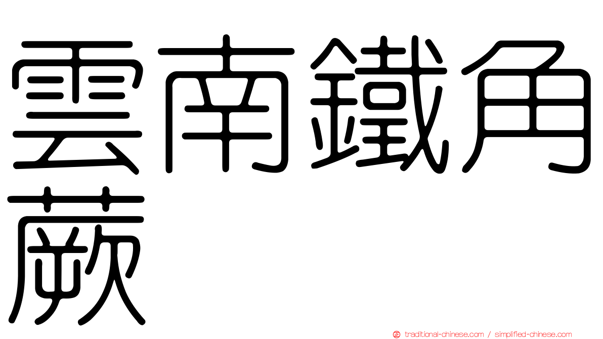 雲南鐵角蕨